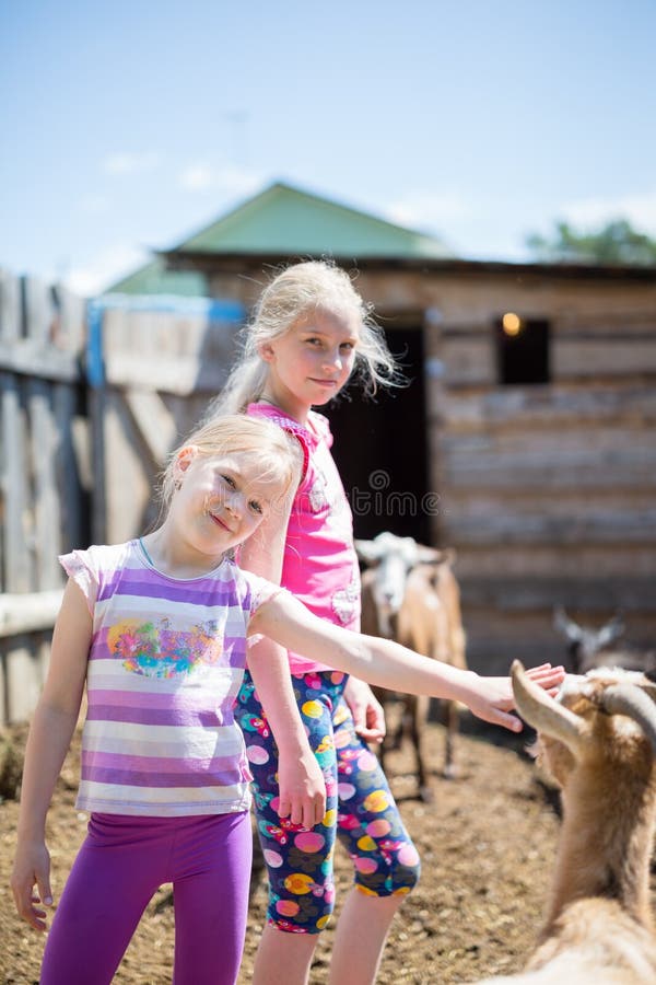 Little girl with goat stock photo. Image of kindred, infant 73136680