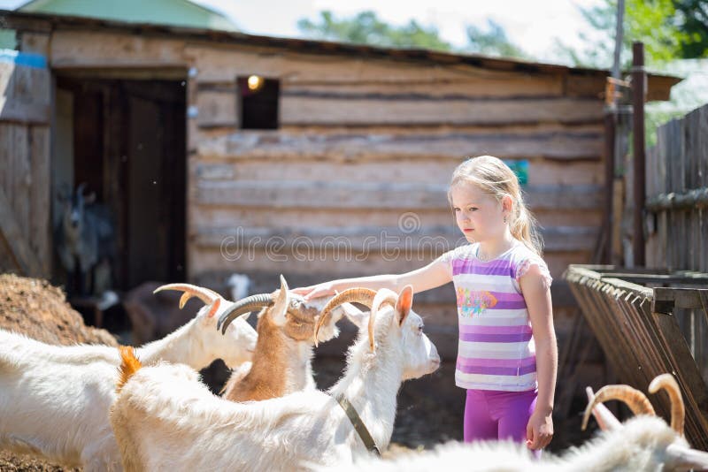 Little girl with goat stock photo. Image of infant, barn 73136960