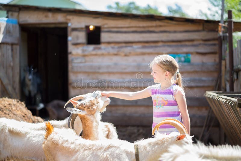 Little girl with goat stock image. Image of game, life 73136967
