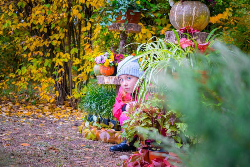 The little girl hid in the bushes from her parents. A child peeks out from behind a flower bed in a park. A child playing hide and