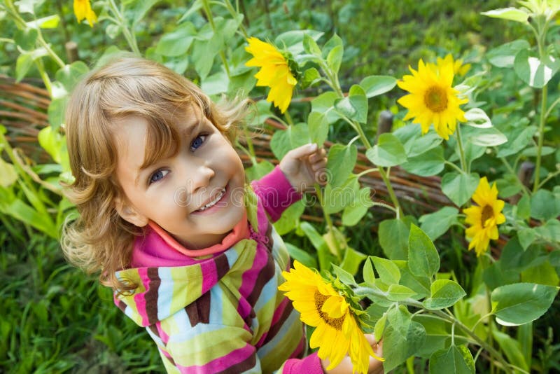 Little Girl keeps in hand sunflower in garden