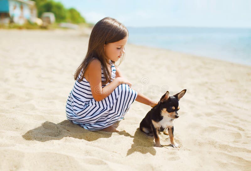 Little girl and little dog on the beach in sunny summer day