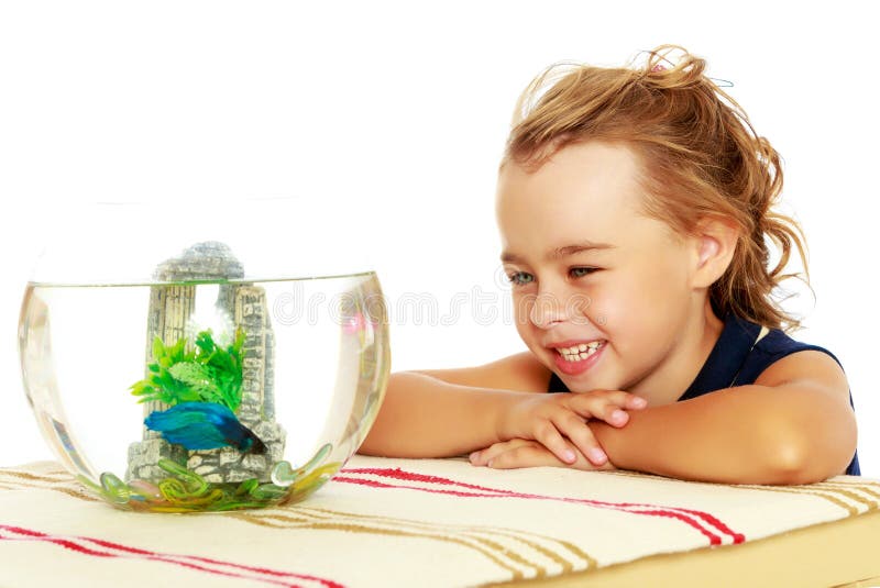 The little girl looks at the fish that swim in the aquarium. royalty free stock image The little girl looks at the fish that swim in the aquarium. royalty free stock image