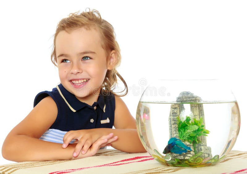 The little girl looks at the fish that swim in the aquarium. royalty free stock photography The little girl looks at the fish that swim in the aquarium. royalty free stock photography