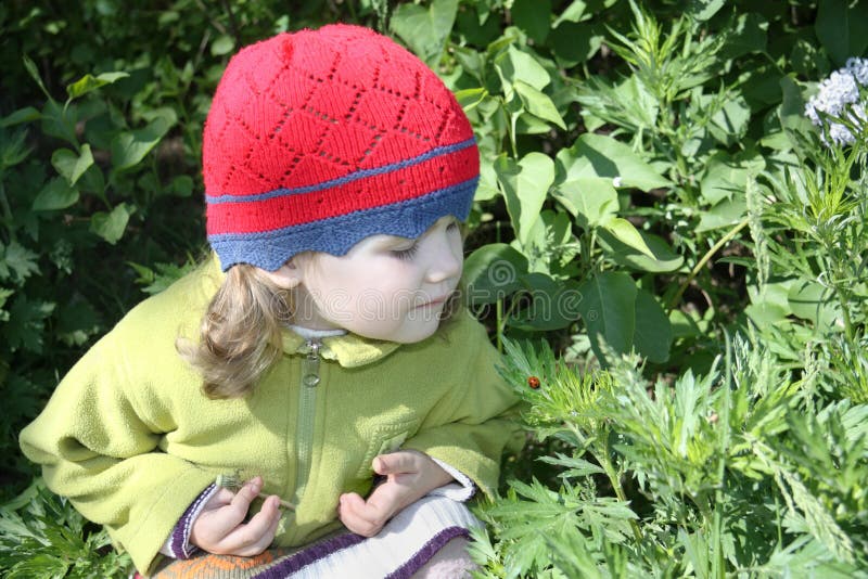 Little girl looks at ladybug on green leaf in sunny day