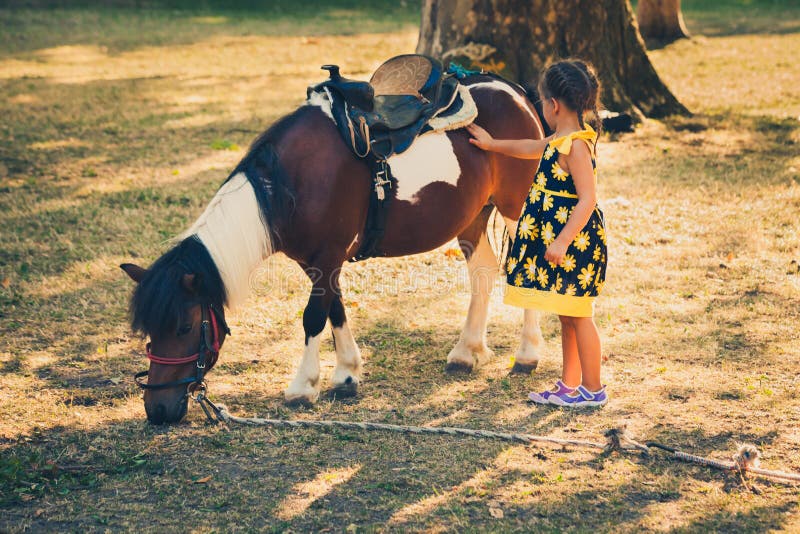 Little girl pet pony horse outdoor in park