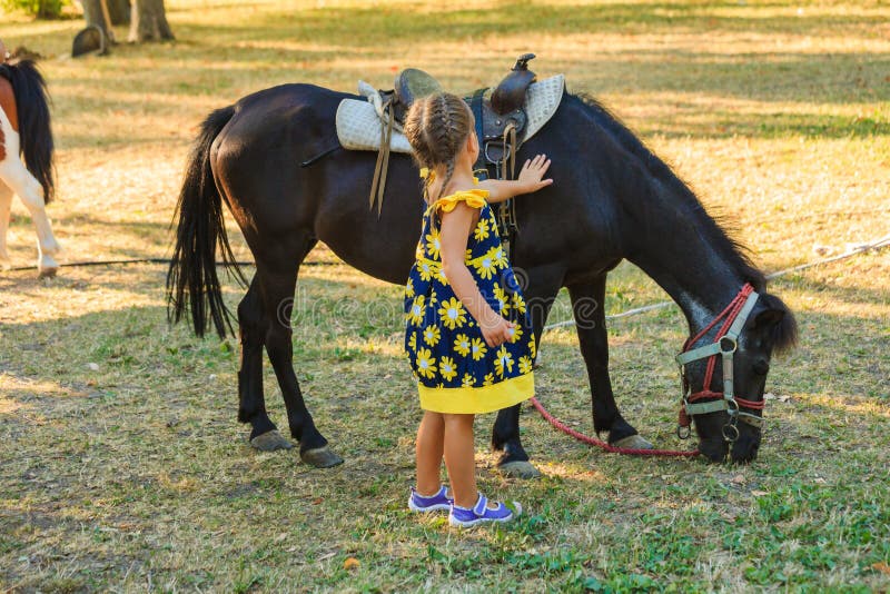 Little girl pet pony horse outdoor in park