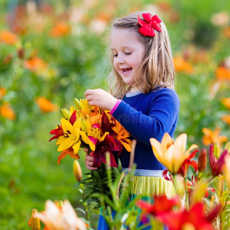 Little Girl Picking Lilly Flowers Stock Photo - Image of agriculture ...