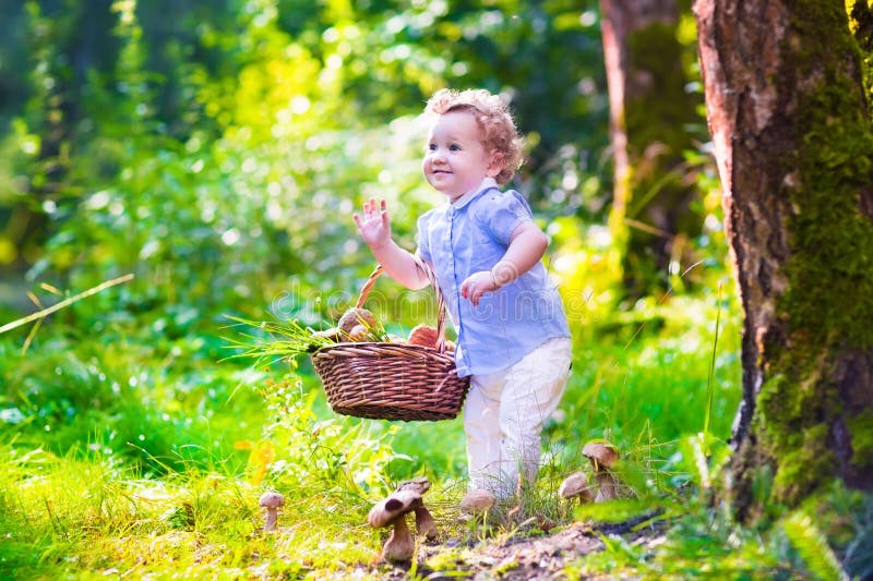 Little girl picking mushrooms in autumn park