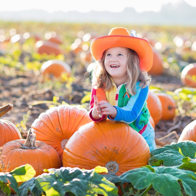 Child Playing On Pumpkin Patch Stock Image - Image of food, fall: 99107629