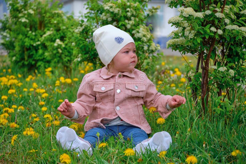 A Little Girl in a Pink Denim Jacket in a Dandelion Patch. Spring