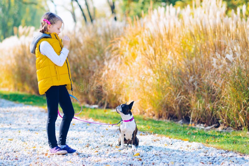Little girl playing in an autumn park with boston terrier dog. L stock image Little girl playing in an autumn park with boston terrier dog. L stock image