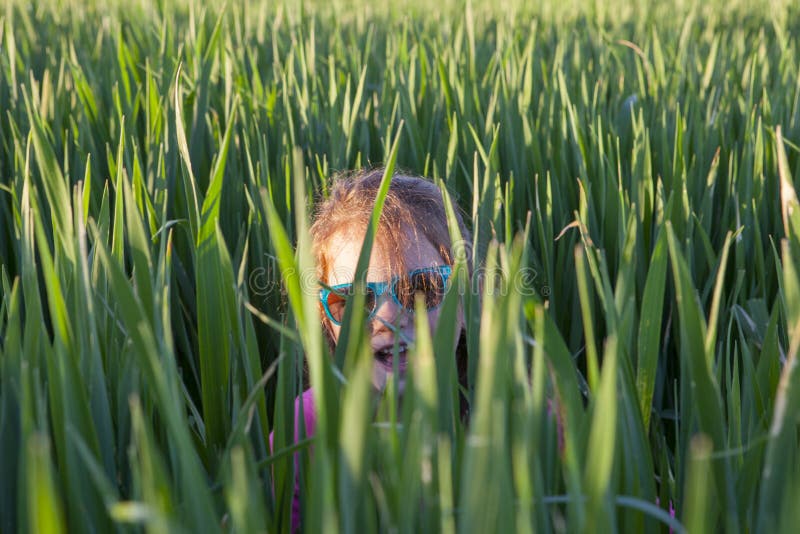 Little girl playing hide-and-seek through green cereal field at sunset, Spain