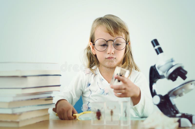 Girl Little Genius of Science Stock Photo Image of classroom, little