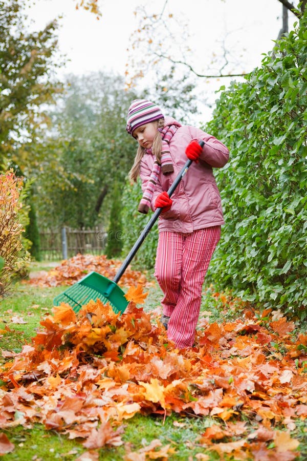 Little girl rake autumn leaves in garden royalty free stock images Little girl rake autumn leaves in garden royalty free stock images
