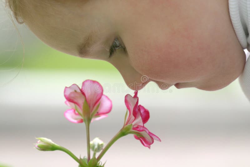 Little girl smell flower