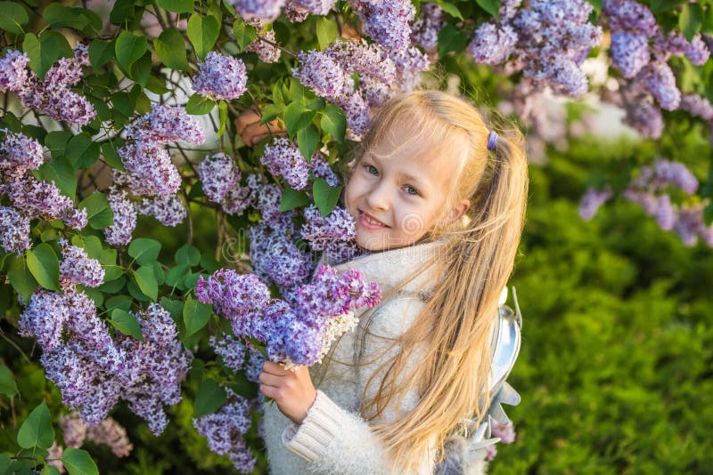 Little girl smelling lilac flowers in sunny day.