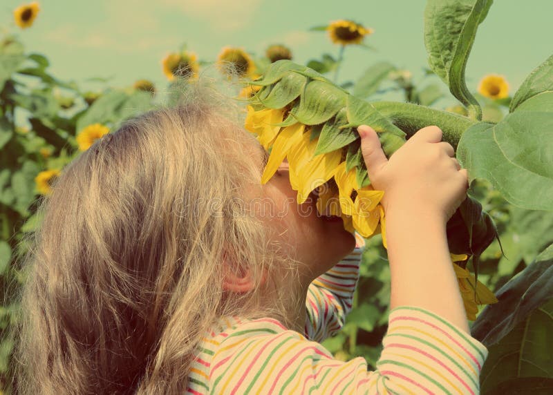 Little girl smelling sunflower - vintage retro style