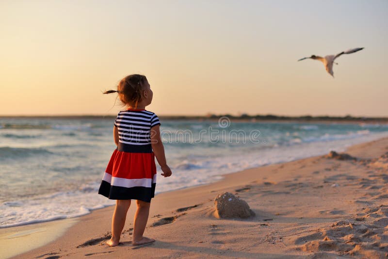 The little girl stands barefoot on the wet sand on the beach and looks at the flying Seagull. royalty free stock images The little girl stands barefoot on the wet sand on the beach and looks at the flying Seagull. royalty free stock images