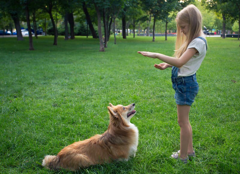 Little girl training a dog stock images Little girl training a dog stock images
