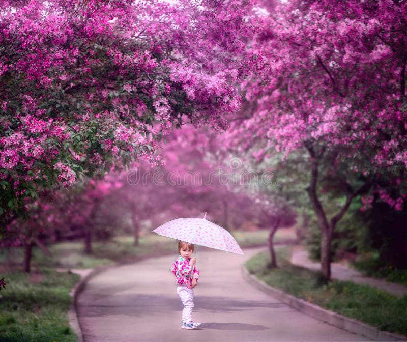 Little happy girl with umbrella under blooming cherry tree with pink flowers. Little happy girl with umbrella under blooming cherry tree with pink flowers.