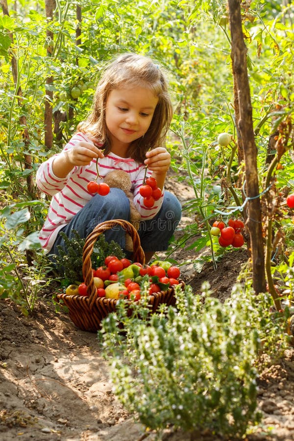 Little girl in a vegetable garden