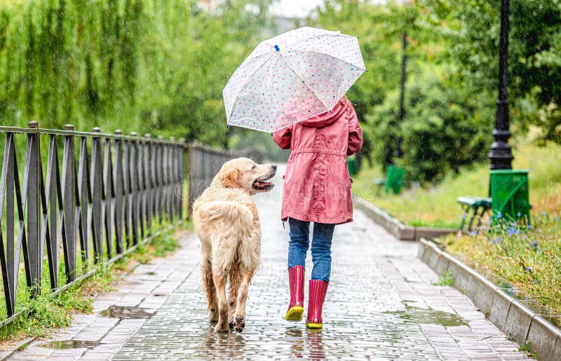 Little Girl Walking Dog Under Rain Stock Photo - Image of boot ...