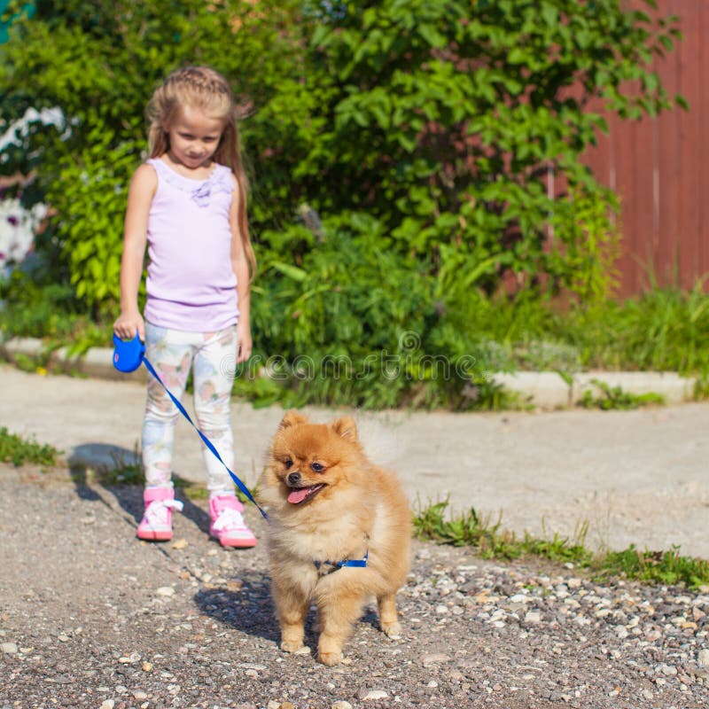 Little Girl Walking with Her ??dog on a Leash Stock Image Image of