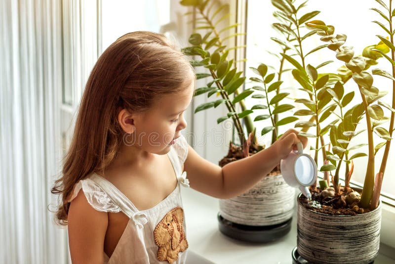 Little girl watering and caring for house plants