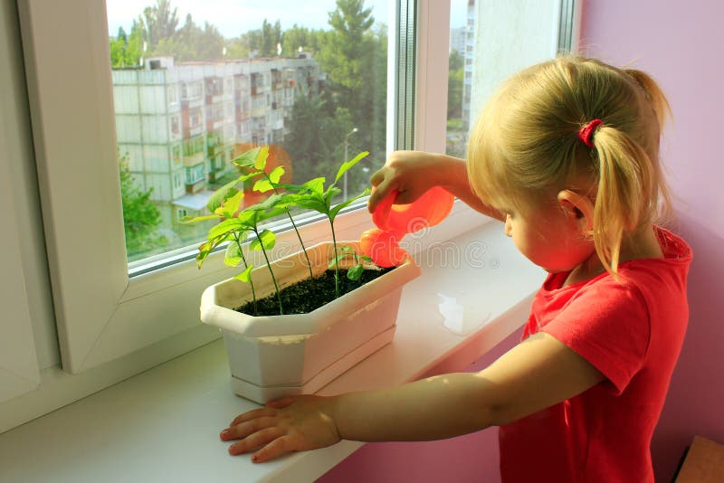 Bambina irrigazione piante giovani sul suo balcone.