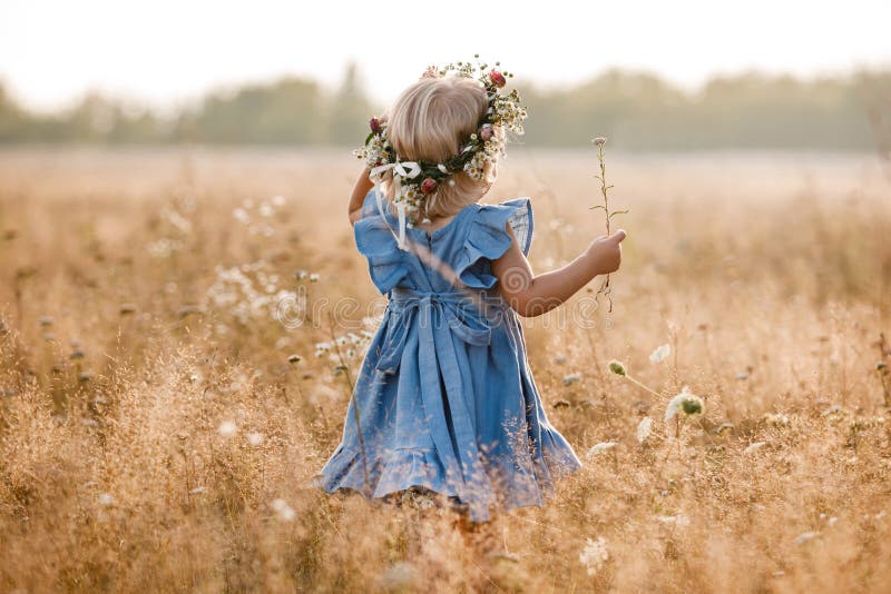 little girl is wearing a flower wreath on her head in a field on summer sunny day. baby in a blue dress.Portrait of