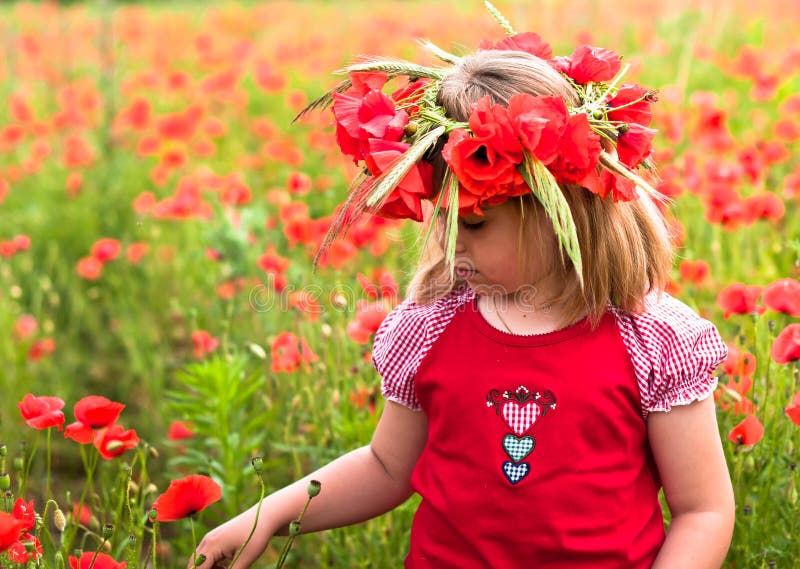 Little Girl in a Wreath from Poppies Stock Photo Image of concepts