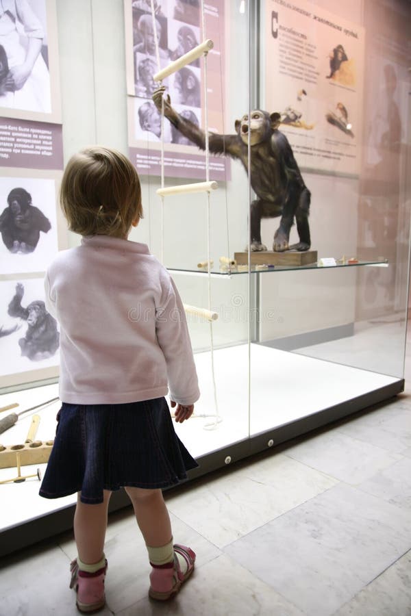 Little girl in zoo musem