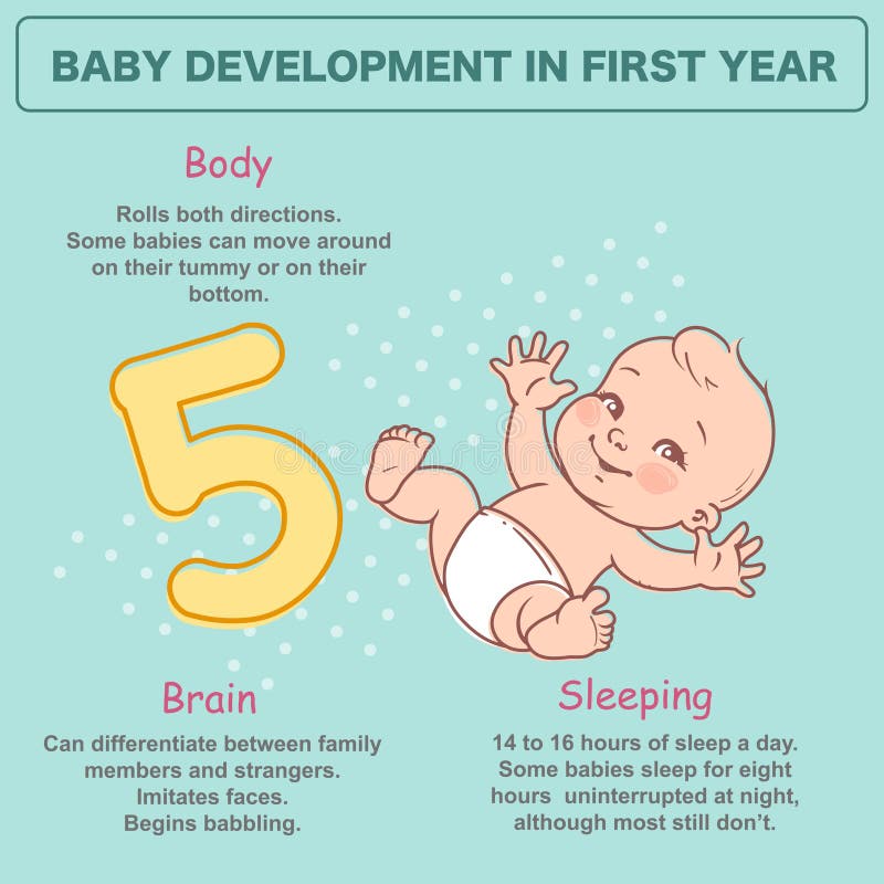 Little GirlLittle Newborn Baby of 5 Months. Development Infographics ...