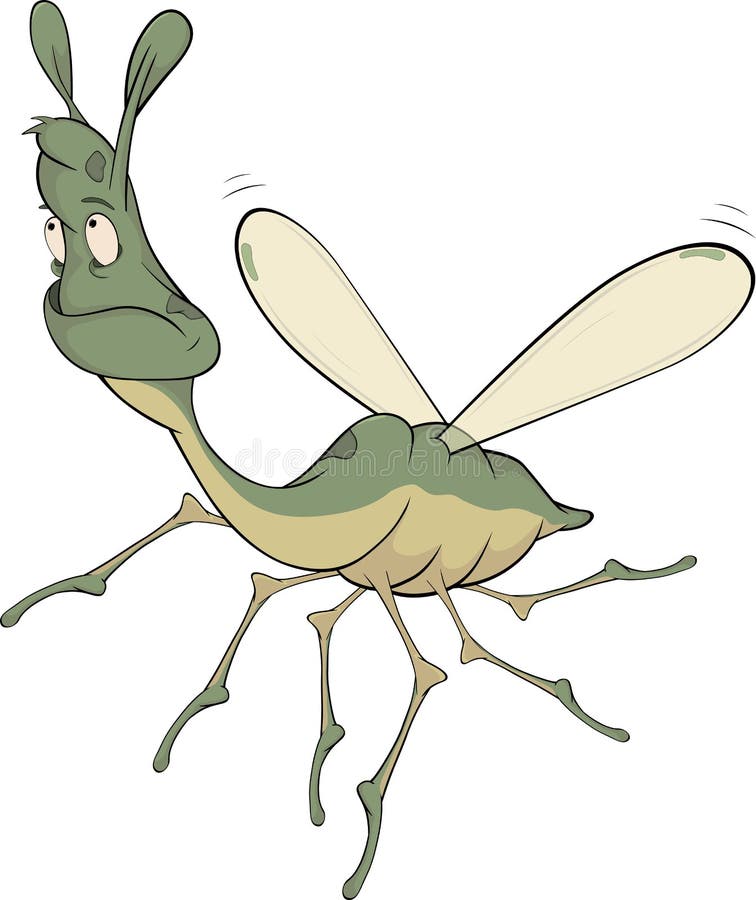 Little green mosquito