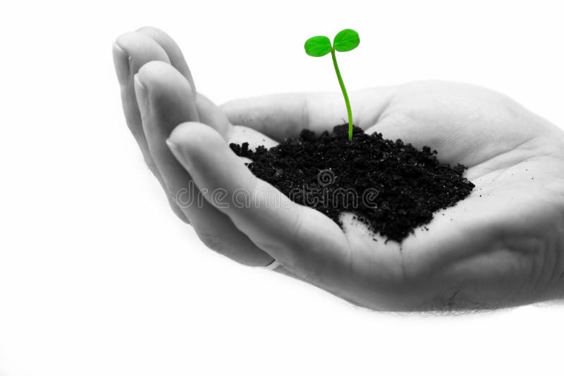 Little green sprout on a hand royalty free stock photography Little green sprout on a hand royalty free stock photography