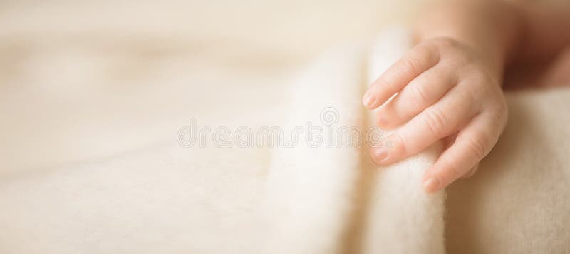 Little hand of newborn baby. Mom and her child. Maternity, family, care and birth concept. Copy space for your text