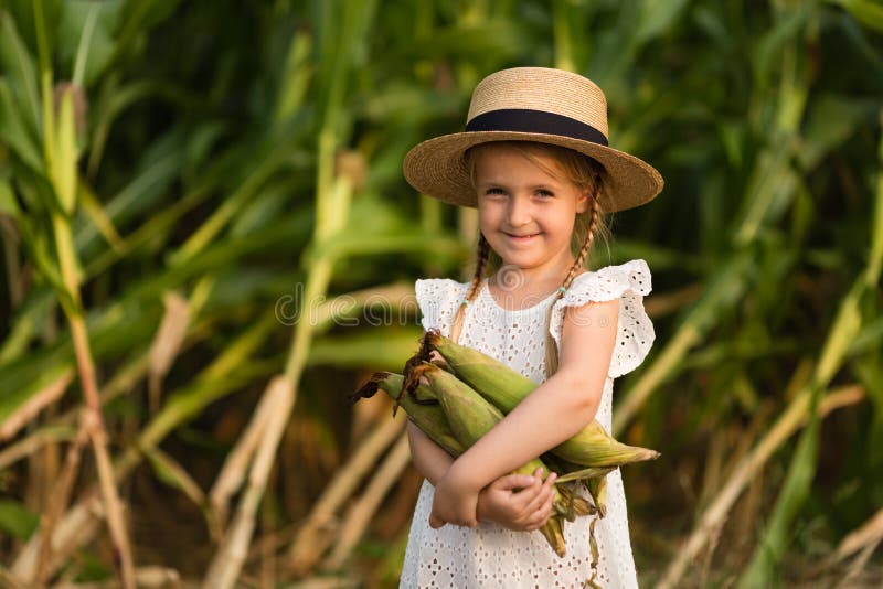 Little kid in a hat standing in the middle of a corn field. Harvest time. organic agriculture for children. Cute child