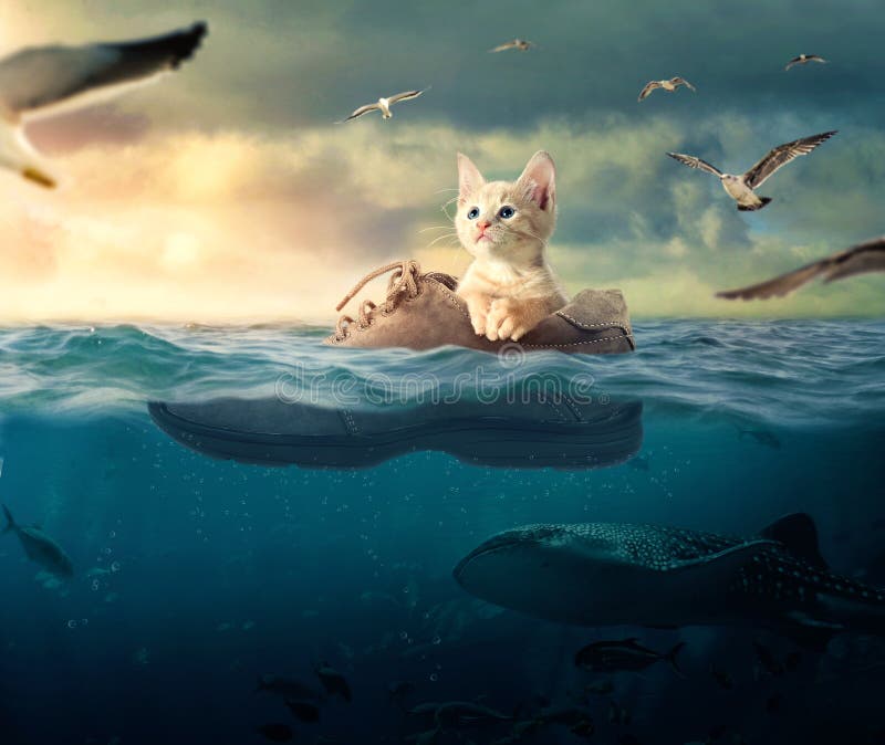 Piccolo gattino lasciandovi trasportare dalle onde del mare sulla sua barca di avvio.
