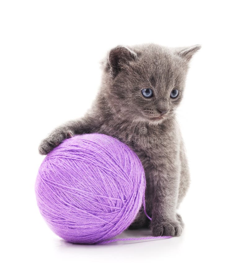 Kitten with balls of yarn. stock image. Image of grey 130074973