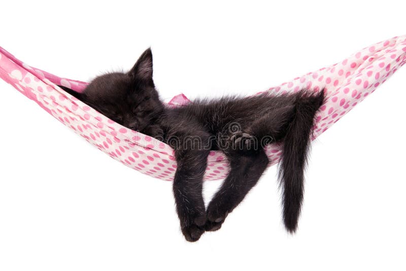 Little kitten sleeps on a coverlet. Small cat sleeps sweetly as royalty free stock photo Little kitten sleeps on a coverlet. Small cat sleeps sweetly as royalty free stock photo