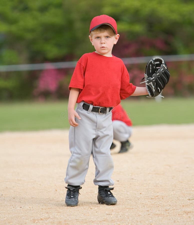 Little League Baseball Player Stock Photo Image of sports, player
