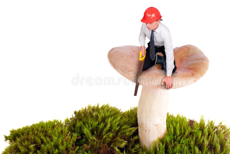 Little man is cutting a mushroom