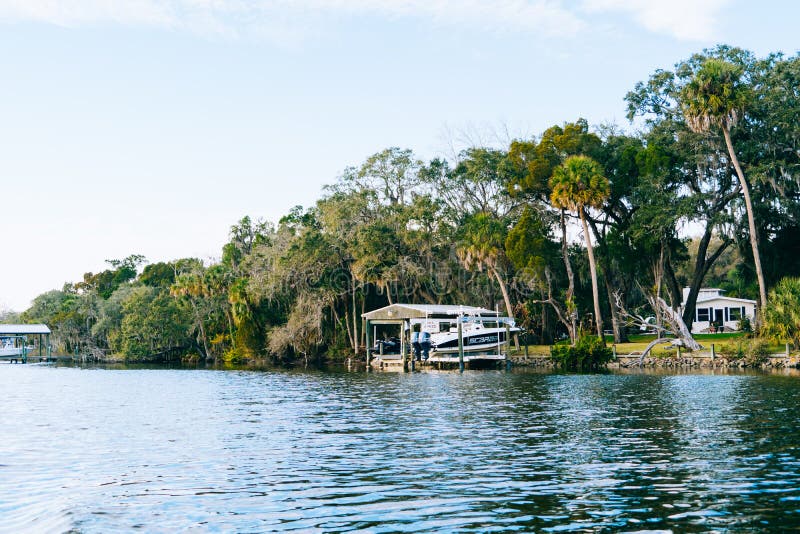 Little Manatee River stock image. Image of nature, rent 252196573