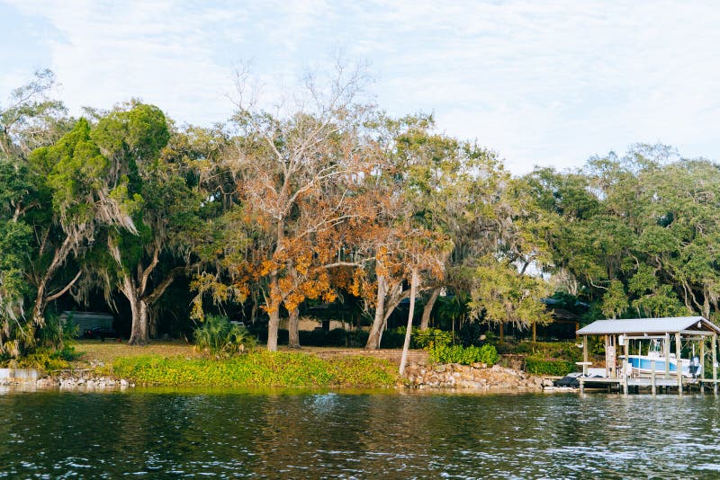 Little Manatee River stock image. Image of nature, rent 252196573