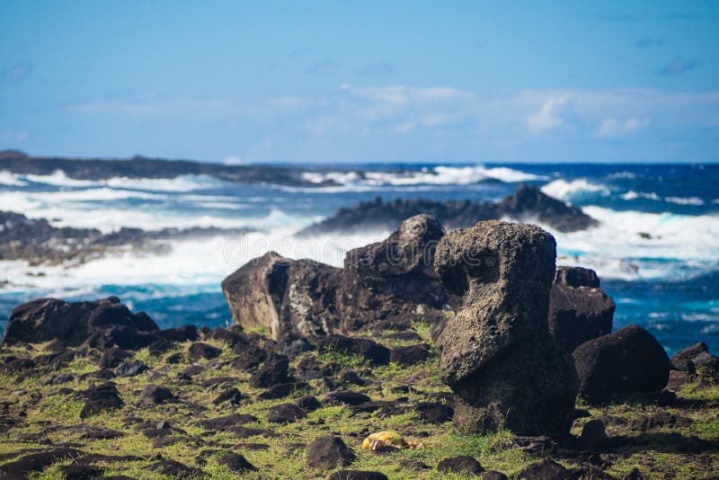 Little moai near Ahu Akahanga in easter island fallen moais