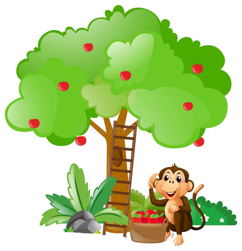 Monkey Sitting Tree Stock Illustrations – 643 Monkey Sitting Tree Stock  Illustrations, Vectors & Clipart - Dreamstime