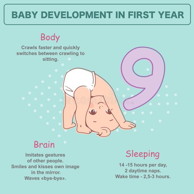 Little Newborn Baby of 9 Months. Development Infographics Stock Vector ...