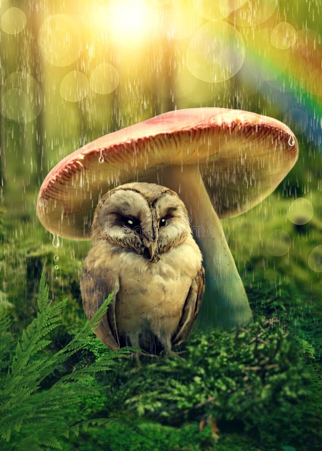 Little owl under mushroom stock photo. Image of vertical 91471422