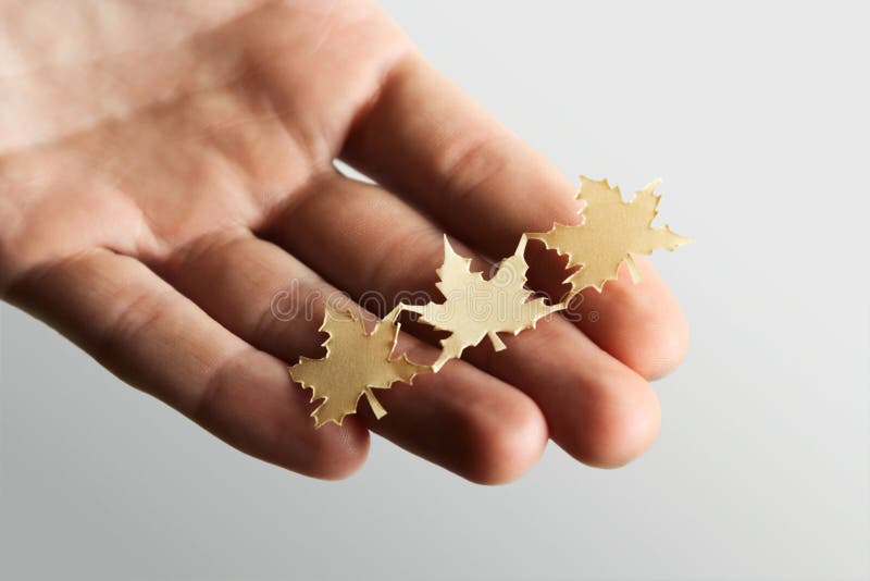 Little paper cutout maple leaves on hand stock image
